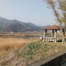 수동참마트 Daum카페