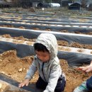 준영농장 이미지