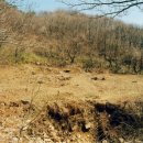 백룡농장 이미지