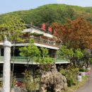 초리골초계탕 이미지