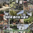 죽전하나약국 | [용인 남사 대형 꽃집] 에르베 플라워 아울렛 에사 어버이날 스승의날 준비 끝!