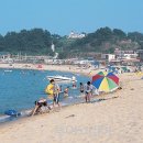 해변 - 강릉시 주문북로 100 | 해변