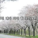 현대시선 밴드 4월의 선정시_봄인 내가 가야 할 곳_김철현_낭송 김미현_편집 윤기영 이미지