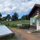 도하목장 이미지