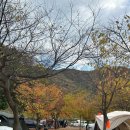 문경수예리오토캠핑장 이미지