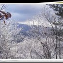 한북정맥 5구간 운악산 눈꽃산행(땜빵)을 다녀와서... 이미지