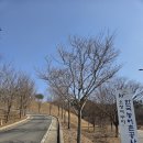 정자마을태양광발전소 | [청주 가볼만한 곳] 오창저수지 국가생태탐방로를 걷다