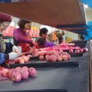 단양죽령사과 이미지