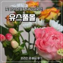 유스풀 | 온라인 꽃주문 후기, 유스풀몰 생화 꽃배달 추천