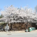 티엠디스튜디오