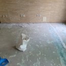 경춘로288번길 이미지