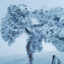 강산
