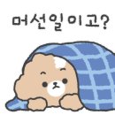 아따멍멍 이미지