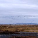 교동정미소 이미지