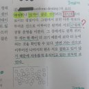 색상 대비 / 콘티vs 스토리보드 이미지