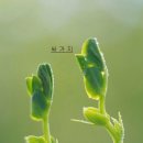 싸가지엔 이미지