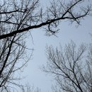 숲길농원 | 백운산→광교산 시루봉 등산코스 후기｜하산 후 폭포농원 방문 코스