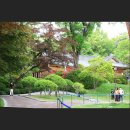 종로-종로-종로-종-232 | 서울 청와대 외빈 접견 한옥 상춘재와 정원 녹지원