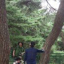 용장1리 이미지