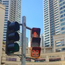 신호등 이미지