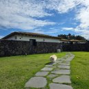 스테이온 | 제주 애월 애견동반숙소 자쿠지와 수영장이 있는 감성 충만 소길리 스테이온 다녀온 후기 내돈내산