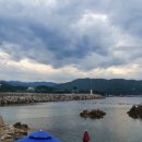 고니목장 이미지