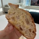 물밀소 | 물밀소 사워도우 후기