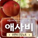 애플미용재료