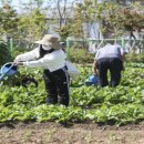 다산농원 이미지