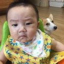 곡성-195 이미지