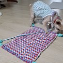 패브릭얀 방석 만들기 이미지