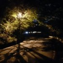 퇴촌 낭만펜션 네이버블로그
