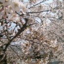 전라북도립미술관 이미지