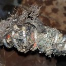 GS25대구구암점 이미지