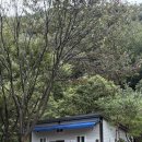 좋은하루캠핑장 | 전북완주 계곡캠핑장 애견동반가능한 좋은하루캠핑장