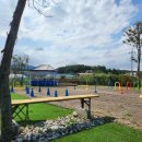 베일리하우스애견펜션 이미지