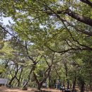 금수사초소 이미지