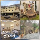 시즌아이PC방 유방동점 | 용인대형카페 정그리다 처인구 애견카페 아이랑 가볼만한 곳