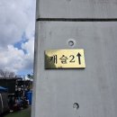 양평 애화몽 워크샵 단체 수영장 펜션 | [양평워크샵수영장펜션]양평 애화몽 워크샵 단체 수영장펜션 자연 속 힐링 여행 후기