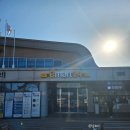 상념의 정원 | 영덕 3박 4일 명상 체험, 해돋이 새벽명상, 갤럭시링 사용 후기