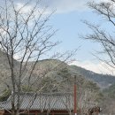 옻골로 | 대구 한옥카페 | 옻골마을 ‘카페모미’ 다녀온 솔직후기