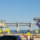 생선회 특화지역 이미지