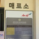 정선가든 | 강원도 정선 로미지안가든 내돈내산 후기(디지털관광주민증)