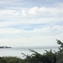 아이와(I.WA) | 캐나다 밴쿠버 -> 미국 밸링햄 당일치기 여행 (feat. 아이와 함께)