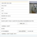 한얼동물병원 이미지