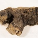 고삼농장 이미지