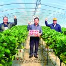 홍북농협 이미지