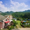 Morning Lake 이미지