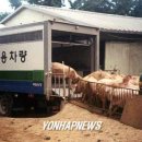 국일농장 이미지