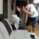 라베일르 네이버블로그